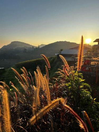 Mae Rim House | เอนจอยดอยแจ่ม