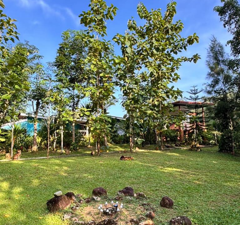 Ban Wang Hom House | Baansuan Suksangob Farm Stay