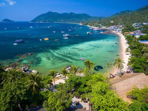 Koh Tao Apartment | Bird Nest Hostel