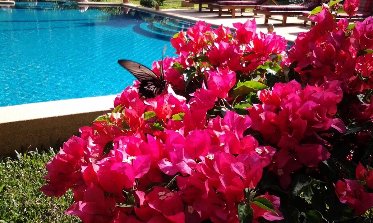Mae Nam Villa | Charming and Authentic Thai Villa facing river surrended by jungle
