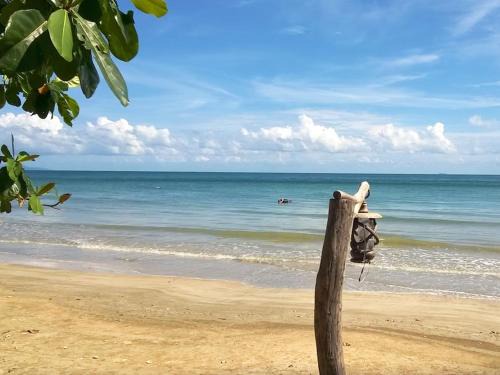 Nuea Khlong House | Foresta Cottage of Koh Pu