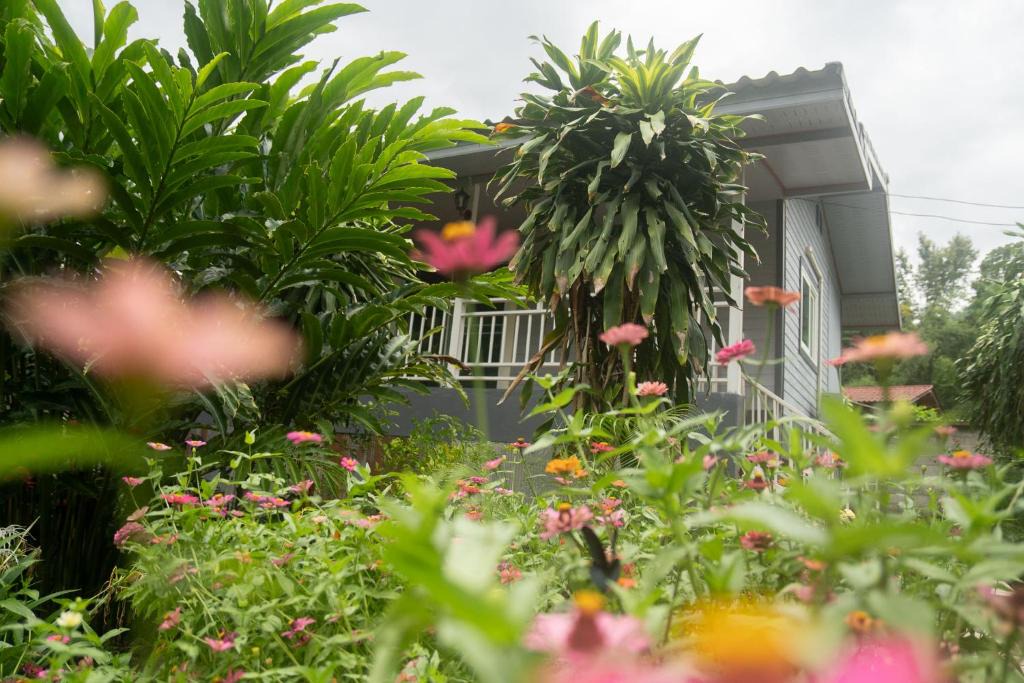 Pai Apartment | Honey Home Pai