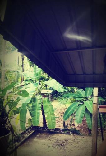 Baan Tai House | joli petite maison jungle