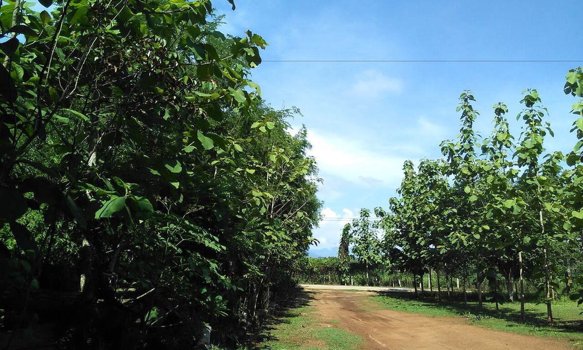 Loei Province Hotel | Loei Airport Homestay