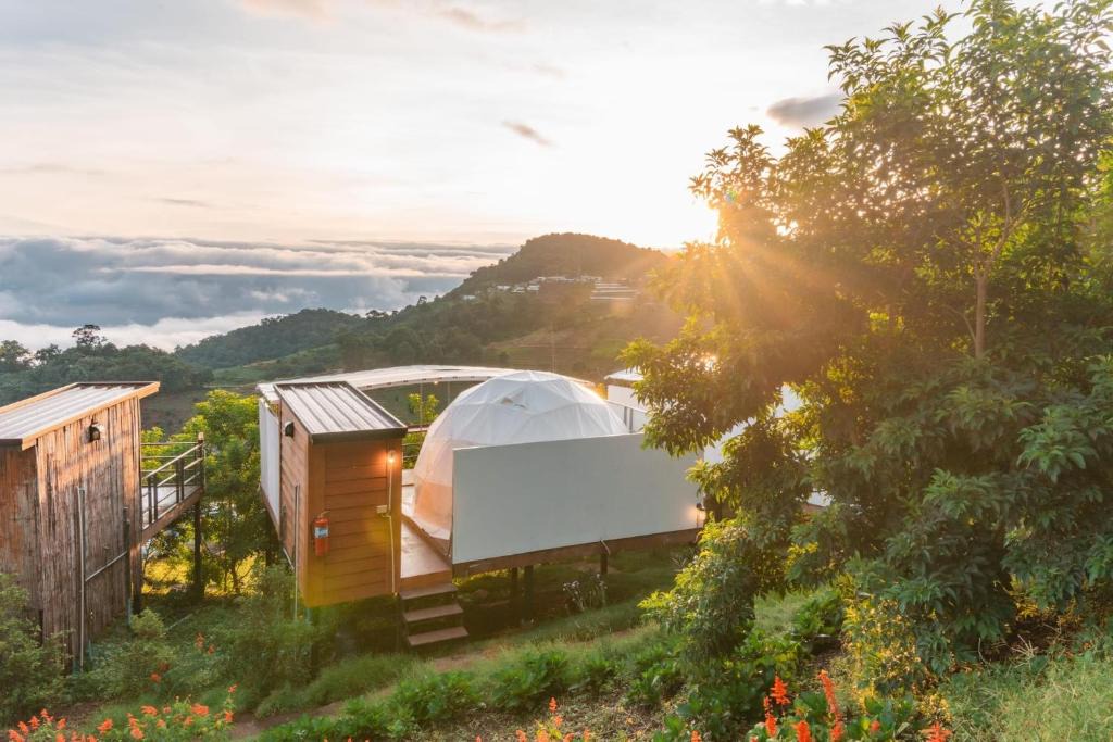 Mae Rim Other | MonPhuView MonJam ม่อนภูวิว ม่อนแจ่ม