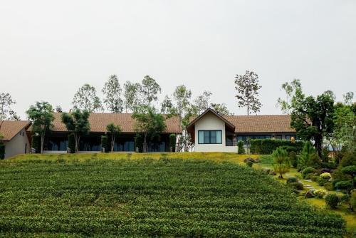 Mae On Resort | PASSA ผัสสะ Tea Plantation @Mae On