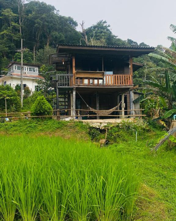 Ban Luang House | peado2