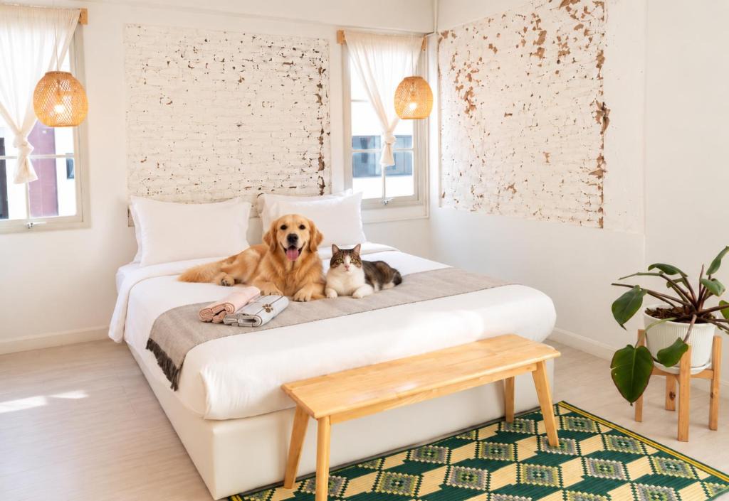 Chana Songkhram Hotel | Pet Friendly Luna & Local Oldtown Bangkok