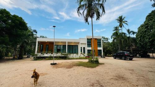 Ban Na Doem House | Serenity Banna