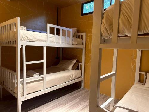 Baan Tai Hostel | The Breeze Hostel