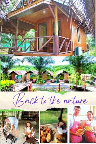 Ko Yao Resort | YaoIsland Resort and Farm