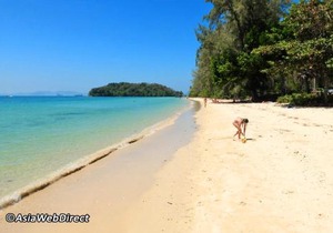 At Seacondo-1 Bedroom-A12 in Krabi