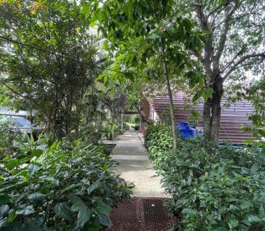 Sena House | บ้านนกฮูก อิงธารา
