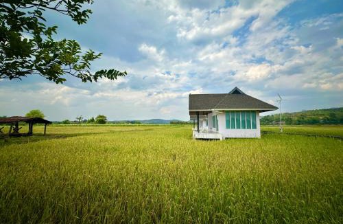 Chiang Dao House | บ้านผ่อดอยกอยดาวพรีเมี่ยม