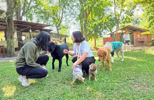 Khanong Phra Resort | บ้านสุจิปุรี BaanSujipuri