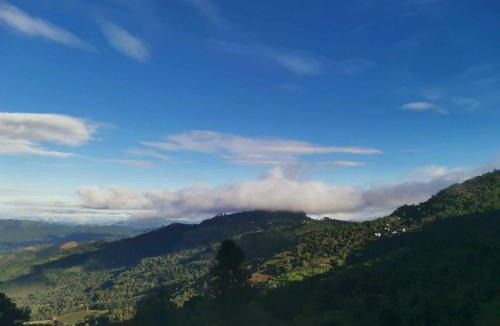 Chiang Rai Province Other | บ้านไร่นายสิงห์-Banrainaysing
