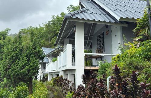 Tap Tao Resort | ไร่ร่มโพธิ์ทองรีสอร์ทภูชี้ฟ้าเชียงราย