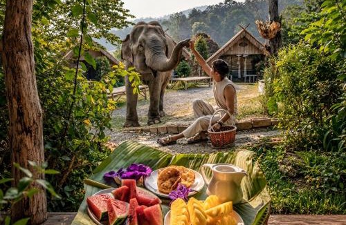 Mae Wang House | 3 Pok Maewang jinxiang Gold elephant park