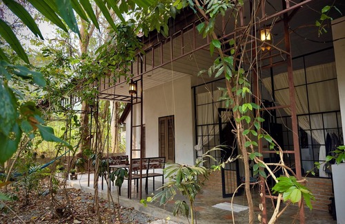 Chang Phueak Cabin | A Unique Hidden Green Gem