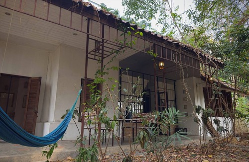 Chang Phueak Cabin | A Unique Hidden Green Gem
