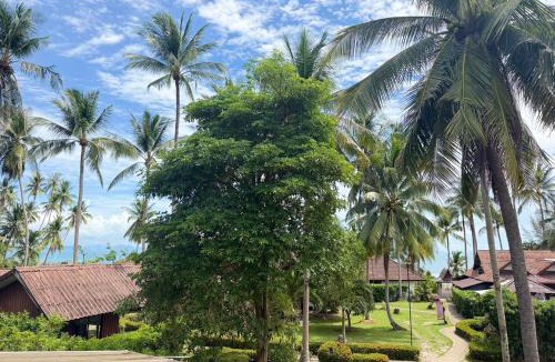 Taling Ngam Hotel | Am Samui Resort Taling Ngam