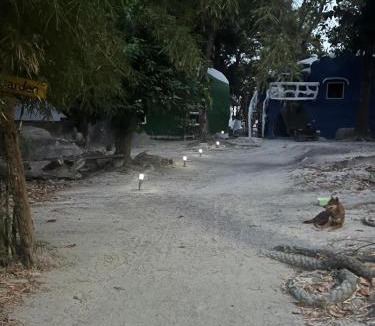 Satun Apartment | Art rock garden