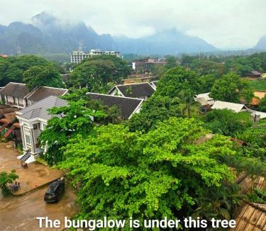 Vang Vieng Hotel | bungalow west water vang vieng