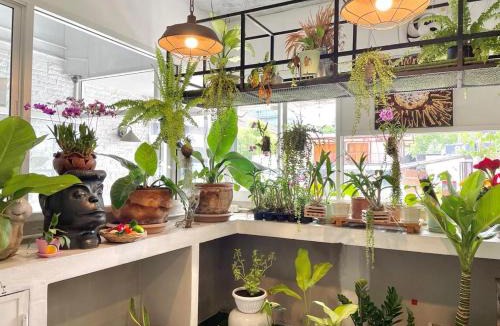 Nimman Villa | Cafe home