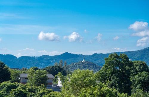 Plai Laem Hostel | Coasta Wings Hostel