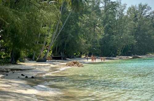 Ko Pha-ngan House | Coconut Beach Bungalows