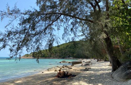 Ko Pha-ngan House | Coconut Beach Bungalows