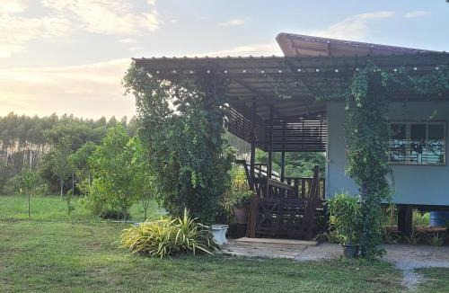 Suan Phueng House | Cozy Cottage Farm stay Suanphueng