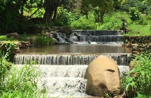 Mae Taeng Other | Doi Lom Elephant farmstay