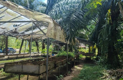 Old Phuket Town Other | EnDanni Space