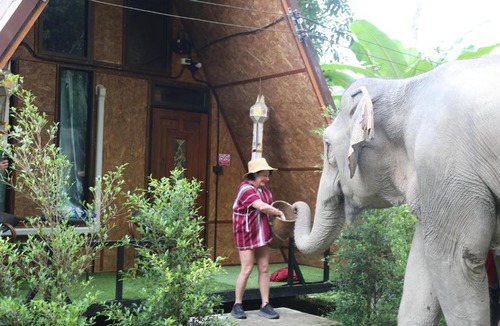 Samoeng House | Hidden Gem Elephant