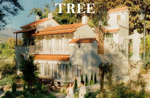 Pong Yaeng House | Home Tower tree เชียงใหม่