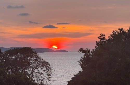 Pratumnak Hill Hostel | Hostel Friends Station & Cafe