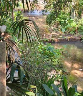 Doi Saket House | House in the Forest Doisaket