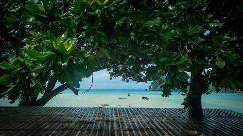 Ko Phi Phi Hotel | Ibiza House Phi Phi