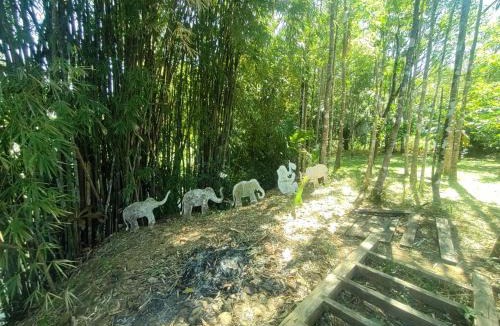 Koh Chang Tai Hostel | KeereeBanchorn FARMstay