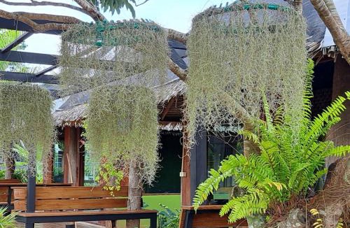 Sop Ruak Cabin | Kham Ecolodge