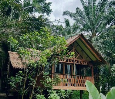 Khlong Sok Resort | Khao Sok Paradise Resort