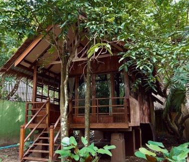Khlong Sok Resort | Khao Sok Paradise Resort