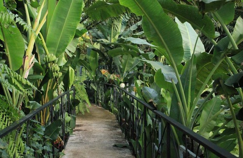 Khlong Sok Hotel | Khaosok River Camp