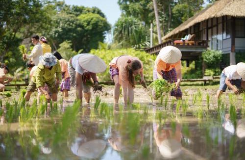 Ko Yao Resort | Koh Yao Yai Village