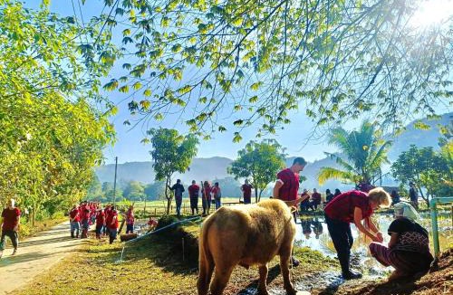 Mae Wang House | Maewin Farmstay