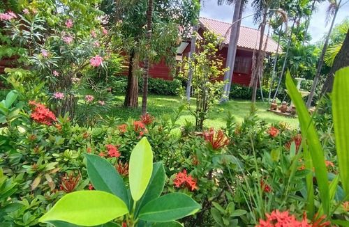 Thani Hotel | MG Guest House