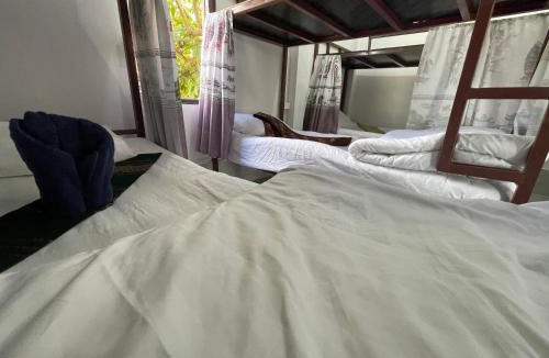 Nong Khiaw Hostel | Mountain View dormitory