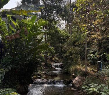 Doi Saket Resort | Pai Pak Nak Resort and Cafe ไปปากนัก รีสอร์ท แอนด์ คาเฟ่
