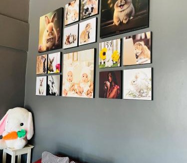 Talat Yai Hostel | Rabbitel Phuket